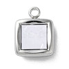 304 Stainless Steel Acrylic Pendants STAS-M091-02D-P-1