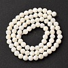 Shell Beads Strands SSHEL-E571-38-4mm-01-5