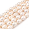 Natural Cultured Freshwater Pearl Beads Strands PEAR-I007-01E-06A-2
