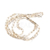 Electroplate Transparent Glass Beads Strands Pearl Luster Plated EGLA-H106-01A-PL02-2