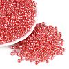 FGB Glass Seed Beads SEED-Q040-08A-08-1