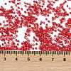 Baking Paint Silver Lined Glass Seed Beads SEED-H003-09C-4