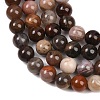 Natural Petrified Wood Round Bead Strands G-F266-08-6mm-6