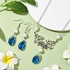 Pearl & Teardrop Glass Jewelry Set SJEW-JS01291-9