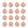 Golden Plated Alloy Enamel Charms ENAM-S118-07H-2
