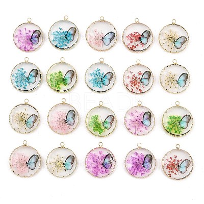 Brass Glass Pendants GL-CBA591C-01G-1
