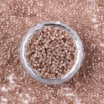 FGB 11/0 Grade A Baking Paint Glass Seed Beads SEED-S030-1145-1