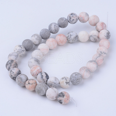 Natural Zebra Jasper Beads Strands X-G-Q462-10mm-03-1