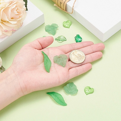 60Pcs 6 Style Transparent & Frosted & Opaque Acrylic Pendants FACR-YW0001-01-1