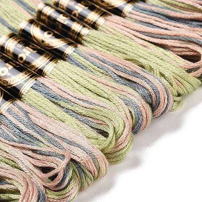 10 Skeins 6-Ply Polyester Embroidery Floss OCOR-K006-A08-1