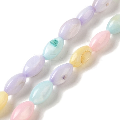 Rainbow Color Dyed Natural Freshwater Shell Beads Strands X1-SHEL-G018-02H-1