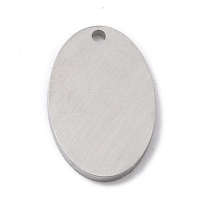 Tarnish Resistant 304 Stainless Steel Pendants STAS-F271-07B-P-1