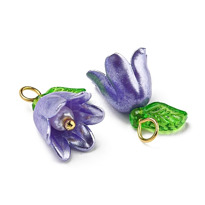 Acrylic Pendants LS-OACR-D012-01B-1