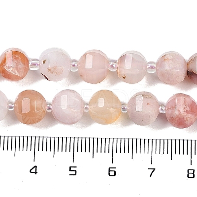 Natural Cherry Blossom Agate Beads Strands G-G182-B41-03-1