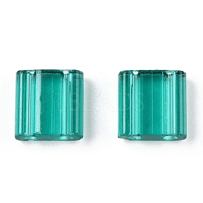 2-Hole Glass Seed Beads SEED-T003-01C-09-1