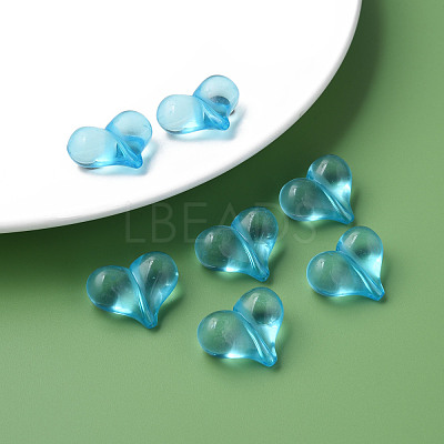 Transparent Acrylic Beads MACR-S373-70-B08-1