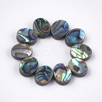 Abalone Shell/Paua Shell Beads X-SSHEL-T008-04-1