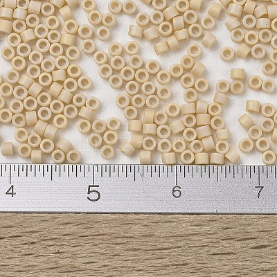 MIYUKI Delica Beads X-SEED-J020-DB1591-1