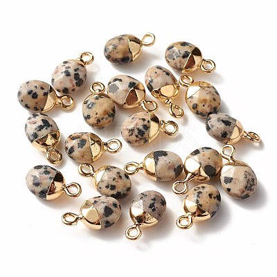 Electroplate Natural Dalmatian Jasper Charms G-S344-09C-1