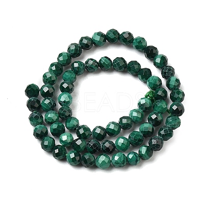Natural Malachite Beads Strands G-H336-A07-02-1