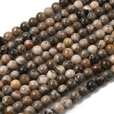 Natural Fossil Coral Beads Strands G-G212-6mm-31-1
