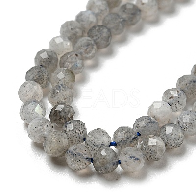 Faceted Round Natural Labradorite Bead Strands G-I156-03-4mm-1