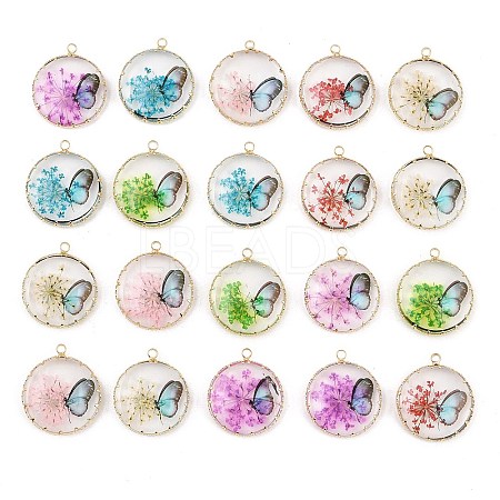 Brass Glass Pendants GL-CBA591C-01G-1