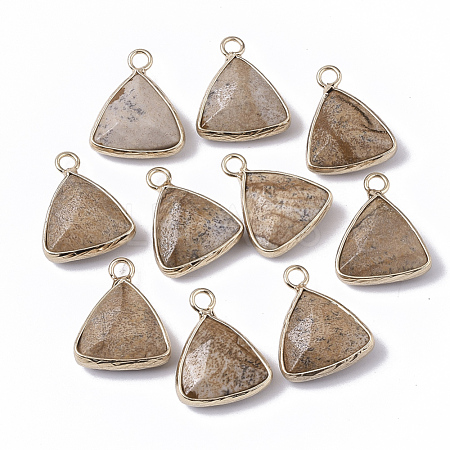 Natural Picture Jasper Pendants G-S359-029D-1