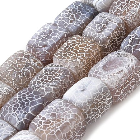 Natural Weathered Agate Beads Strands G-Q169-B04-01-1