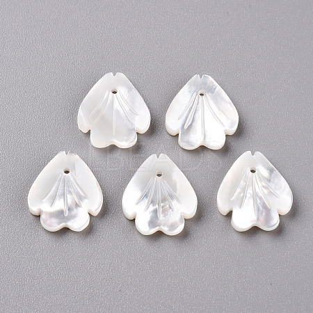Natural White Shell Mother of Pearl Shell Beads SSHEL-R144-12A-1