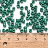TOHO 6/0 Round Beads X-SEED-TR06-0055D-3