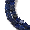 Natural Lapis Lazuli Beads Strands G-G085-B02-01-3