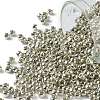 TOHO 8/0 Round Beads X-SEED-TR08-0714-1