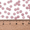 FGB Frosted Transparent Glass Seed Beads SEED-N013-02A-06-4