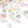 Gradient Color Transparent Frosted Acrylic Beads OACR-M023-06A-1
