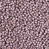 TOHO Round Seed Beads SEED-JPTR11-PF0554F-2