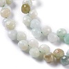 Natural Myanmar Jade/Burmese Jade  Beads Strands G-H243-17-3