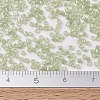 MIYUKI Delica Beads X-SEED-J020-DB1765-4
