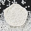 3/0 Glass Seed Beads SEED-L011-03A-18-2