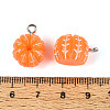Opaque Resin Pendants RESI-T059-10-3