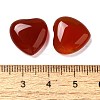 Natural Carnelian Cabochons G-F776-02A-02-3