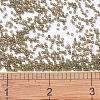 MIYUKI Delica Beads SEED-J020-DB0384-4