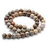 Natural Fossil Coral Beads Strands X-G-G763-12-6mm-2