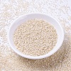 MIYUKI Delica Beads SEED-J020-DB1874-2