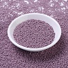 MIYUKI Round Rocailles Beads X-SEED-G007-RR2024-2