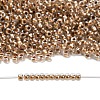 TOHO 11/0 Round Beads X-SEED-TR11-0989-4