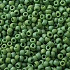 TOHO Round Seed Beads X-SEED-TR11-0407F-2