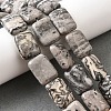 Natural Map Stone Beads Strands G-S386-A13-1