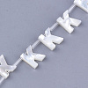 Natural Sea Shell Beads SHEL-T012-60K-2