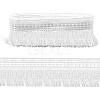 Fingerinspire 7~7.25 Yards Polyester Tassel Lace Trim DIY-FG0004-99-1